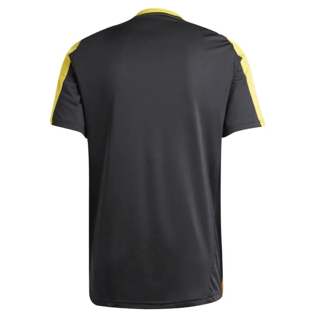 Atlético Mineiro technical committee 25/26