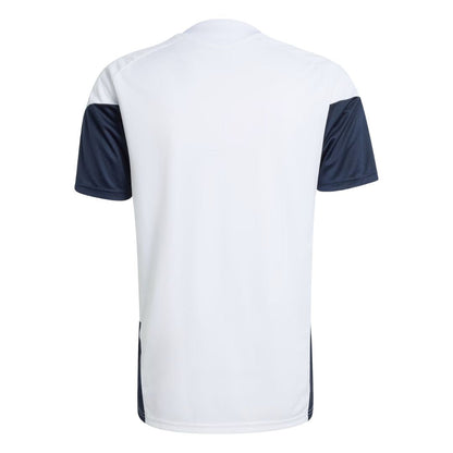 Argentina 2026/2027 Training Jersey Fan
